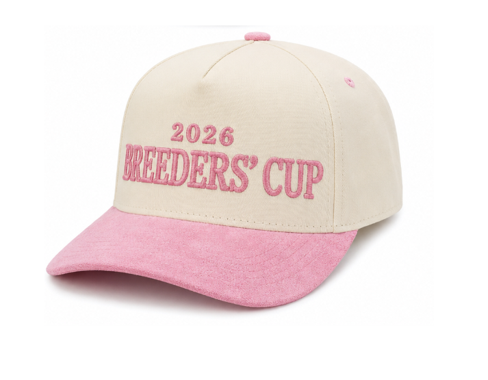 2-Tone Suede Hat