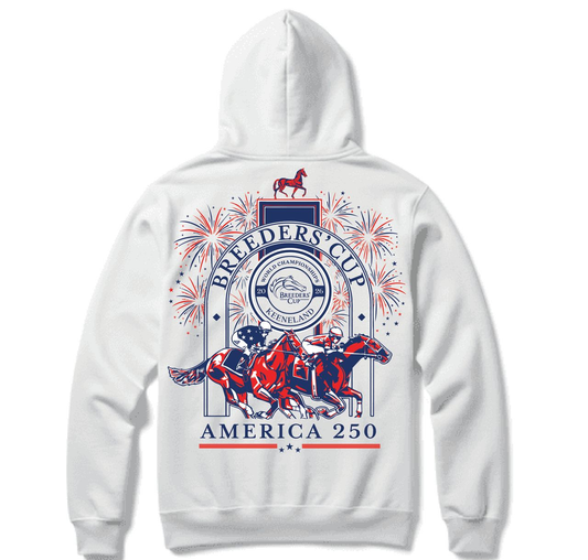 America 250 Trophy Post Hoodie
