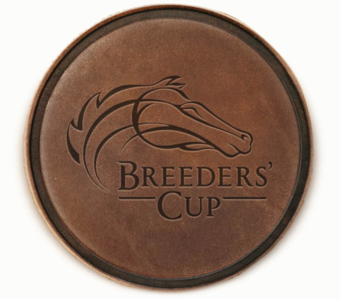 Coasters - Official Logo