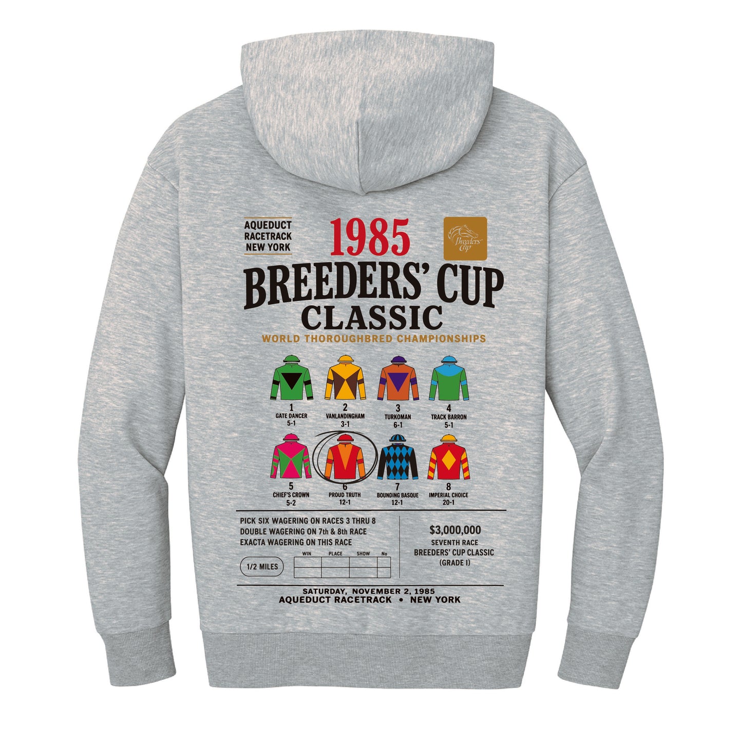 Aqueduct Hoodie