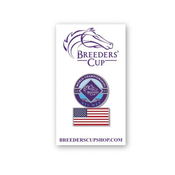 2024 Flag Lapel Pin