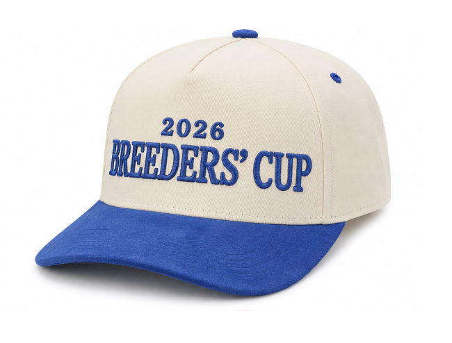 2-Tone Suede Hat