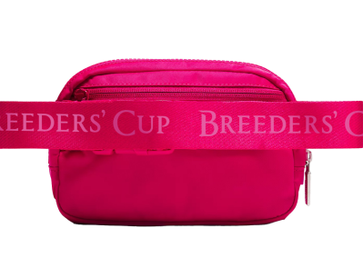 Lululemon Belt Bag