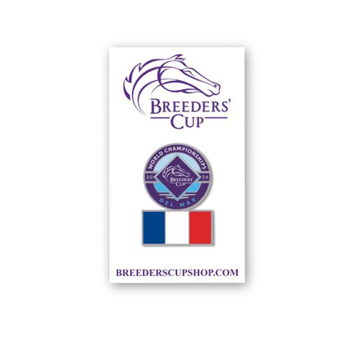 2024 Flag Lapel Pin