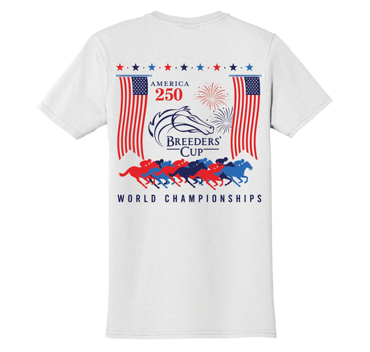 America 250 Banner Tee