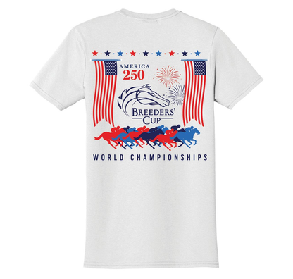 America 250 Banner Tee