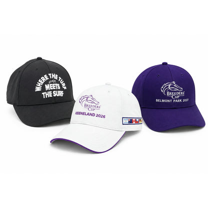 Past, Present and Future Hat Bundle
